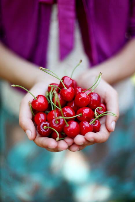 Young Wild Cherry Girls