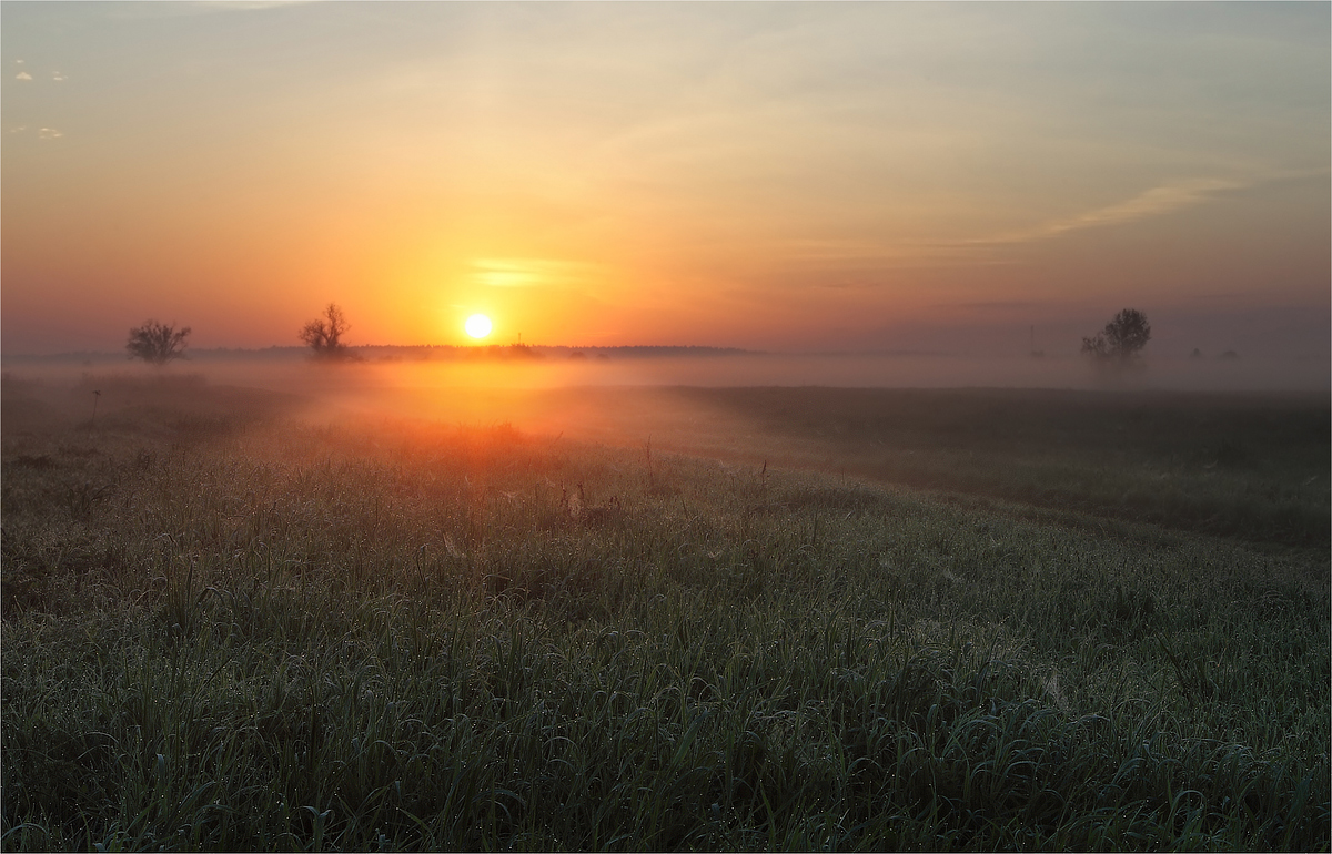 Даша - Утренняя роса - 88 фото