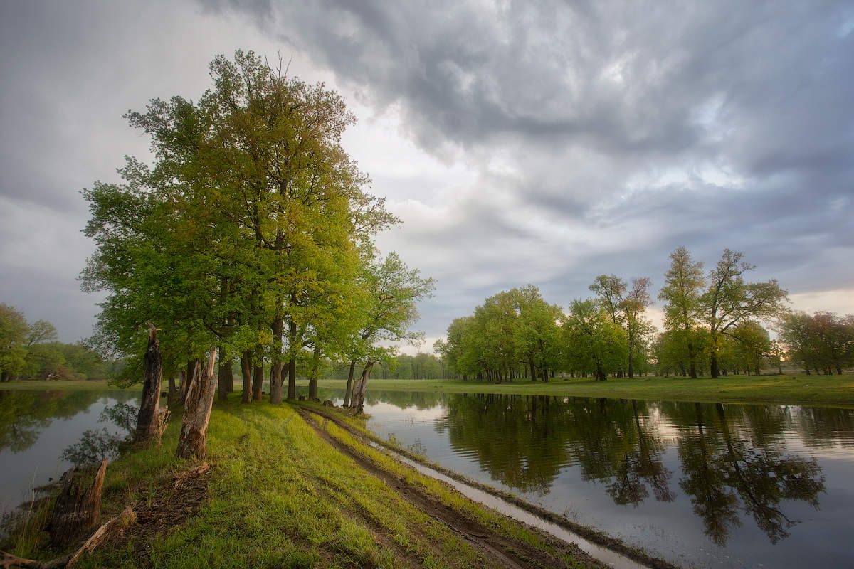 Новгород Природа Фото Новгород Природа Фото