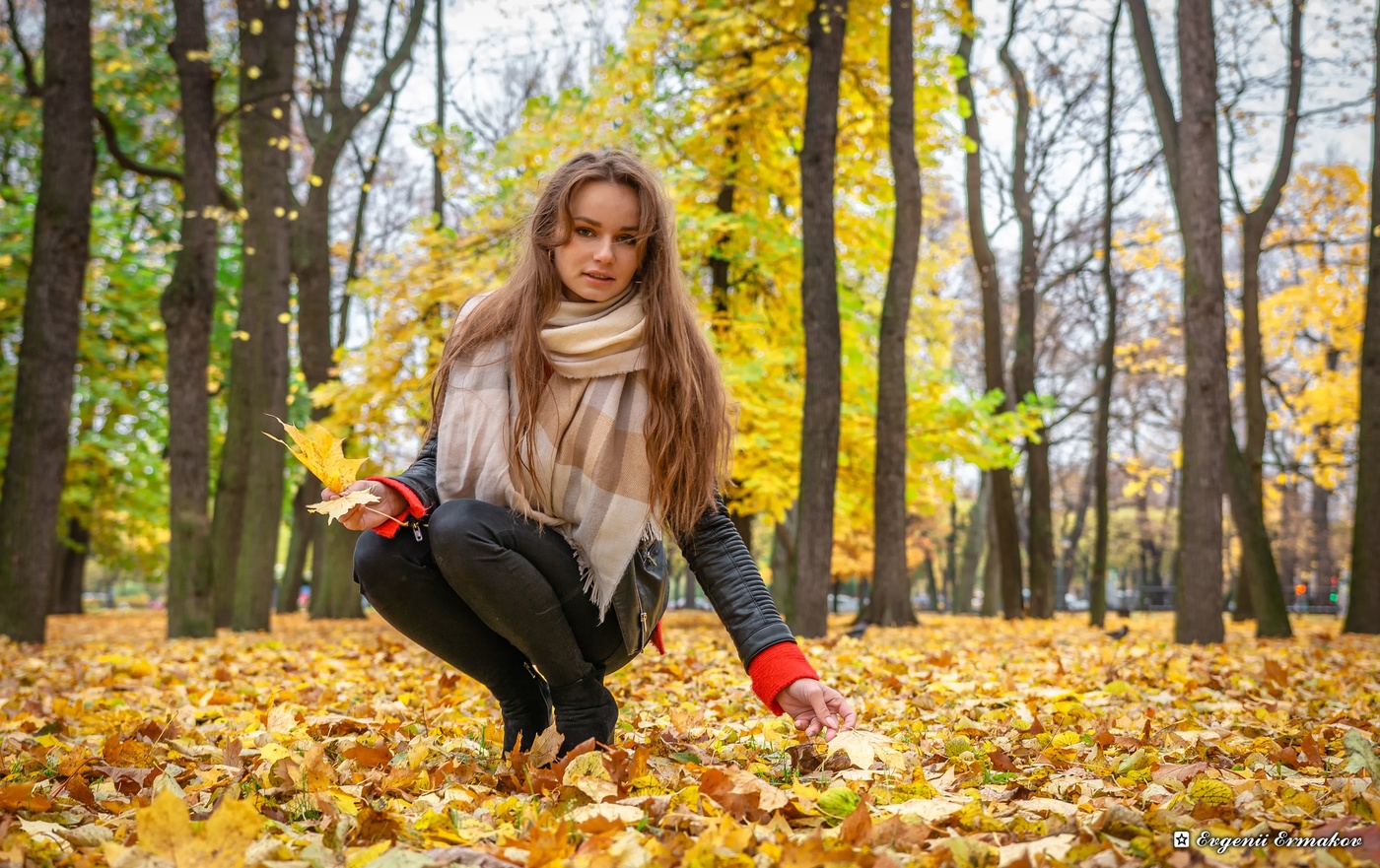 Голый осенний фотосет белой пышки в парке с листвой 