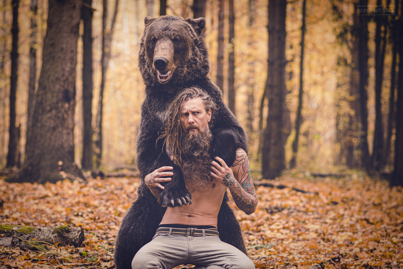 Медведь и человек в лесу фото
