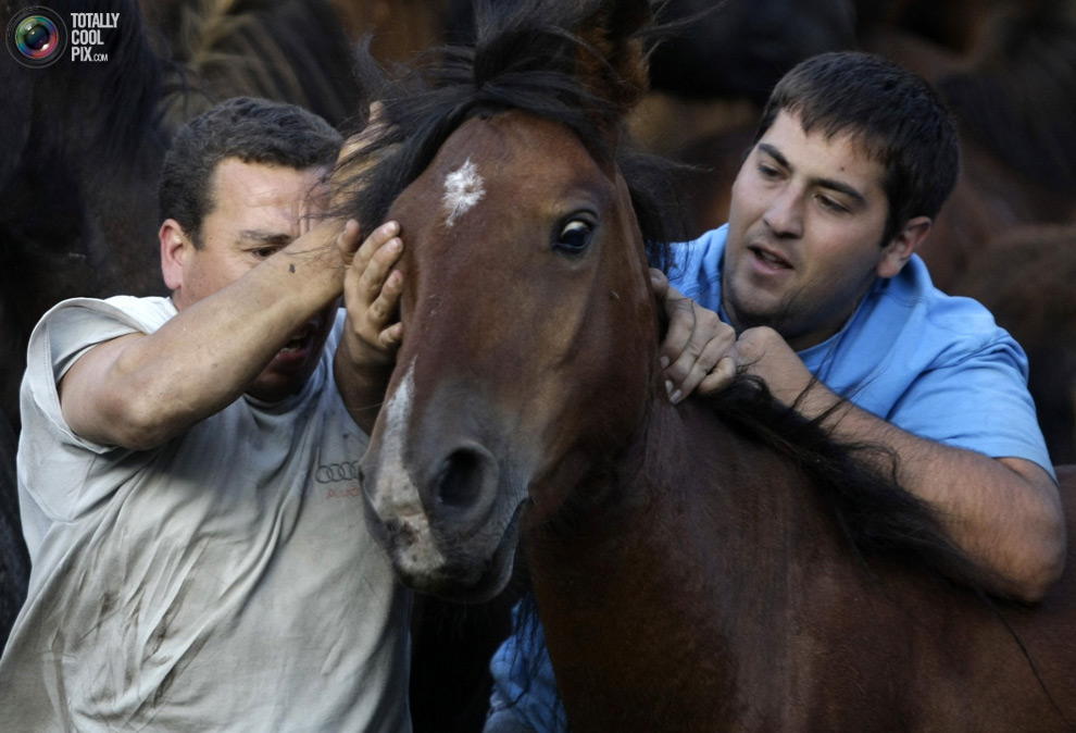 Укрощение лошадей: Фестиваль Rapa das Bestas