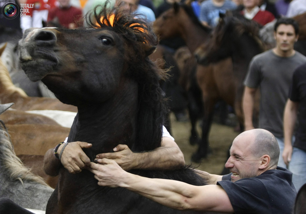 Укрощение лошадей: Фестиваль Rapa das Bestas