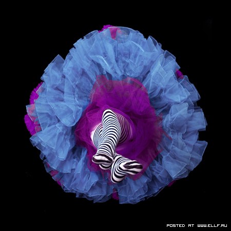 Кринолиновые цветы от Дэрила Бэнкса (23 фото)