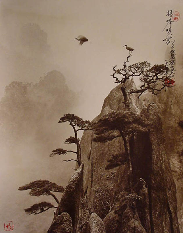 1231 Фотографии в стиле традиционной китайской живописи
