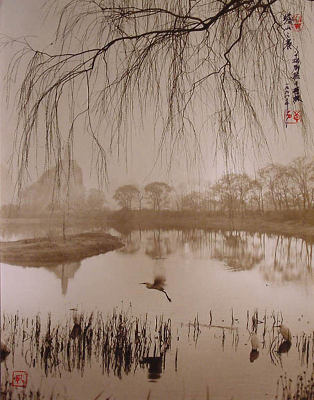 1821 Фотографии в стиле традиционной китайской живописи
