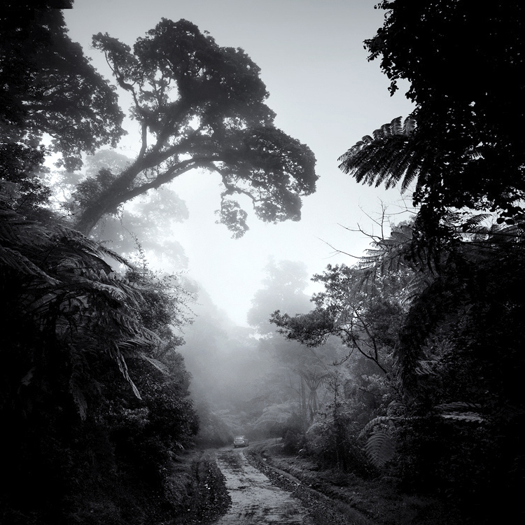 bandw16 Поэзия черно белой фотографии в работах Хенгки Коентжоро