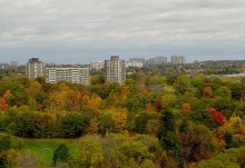 Восень у маім горадзе / ***