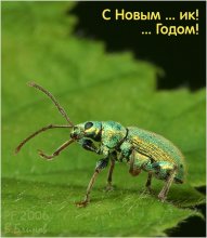 PF'2006 / Меньше суток остается до Нового Года... С утра начнется предпраздничная суета, поэтому воспользуюся спокойной минутой, чтобы поздравить всех с праздником :)
С Новым Годом! Успехов во всем, коллеги!