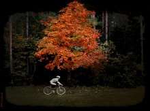 Велосипедист и Осень / ***