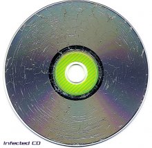 Infected CD / ***