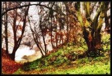 Лес в котором растут грибы / на самом деле - это Лошицкий парк, где я осенью гулял с девочкой Катюшей http://photoclub.by:80/work.php?id_photo=1472&id_auth_photo=175
