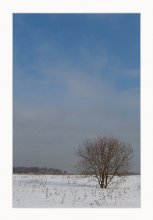Зимняя / Битцевский парк, Москва (середина января)