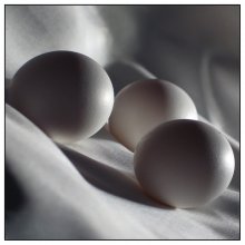 Вдогонку за яйцами / условия студийные
