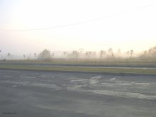 утро, туман...нет только ёжика / ***