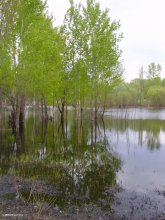 большая вода * / ***