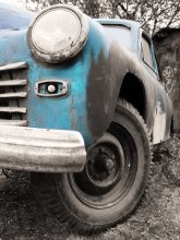 Марудлівы гэпард / ***