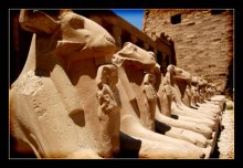 sphinks alley / Карнакский храмовый комплекс. Одна из Аллей сфинксов.