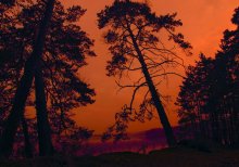 Кровавый рассвет / "Встает красное солнце. Кровь была пролита этой ночью". (Леголаз, "Властелин колец") :)