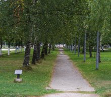 Алея памяцi / Аллея памяти, посвященная партизанам лукомльской земли. Создана в 1975г. в Новолукомле.