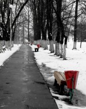 алея в парке образцовой культуры / *****