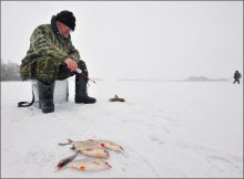 Не рыба , а удовольствие. / Пройдя пару км. по Минскому морю , из трофеев видел несколько &quot;килек&quot;.А пратически уходя со льда- увидел и удовольствие и рыбу.
