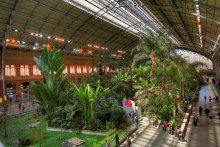 Atocha / Вокзал в центре Мадрида  Сад с тропическипм растениями и даже водоём с черепахами.  Для ожидающих пассажиров....