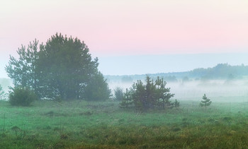 Утренняя вуаль тумана / Весенние рассветы