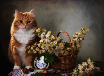 Весна и кот / Мой неизменный помощник, друг и компаньон