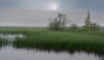 Туманная тишина. / Плыл над озером туман-мутен,нежен как обман. 

Словно лунный диск -солнце в тумане висит .
