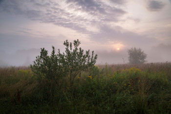 &nbsp; / утро, туман, Фрязино, Гребнево