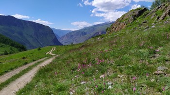 В горах. / Горный Алтай.