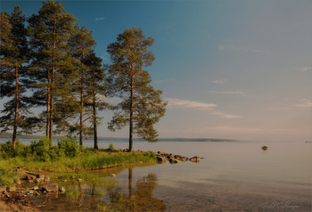 Солнечное утро / Онежское озеро. Карелия.