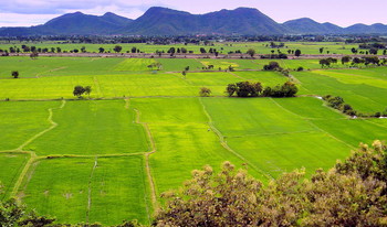 Рисовые поля в предгорье / Рисовые поля в предгорье Таиланда.Дорога, как стрела проходит через поля в центральной части страны с юга на север.