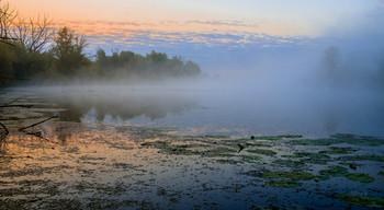 Туман на озере. / Рано утром на озере Студёное. В лугах Мещеры.