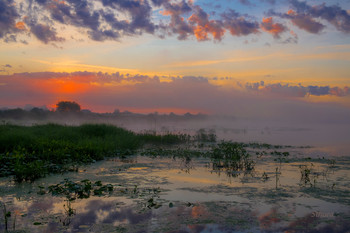 Лето, рассвет. / Утренний пейзаж на озере Исток.