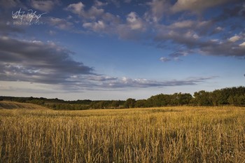 &nbsp; / Ein Feld am Anfang des Herbstes.