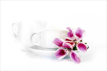 &nbsp; / Натюрморт