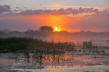 Картина летнего утра. / Рассвет на озере Исток.