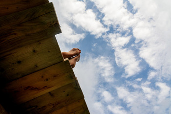 Жизнь вокруг / Описание