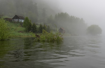 Утро и туман. / Большая вода.. туман на кордоне.