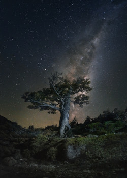 СЛИЯНИЕ / Млечный Путь в небе Южного полушария.
Патагония, Аргентина, репост старого фото.
Один кадр. Рисование светом