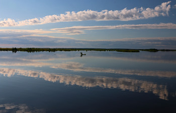 Утро на Белом озере / Вологодская область.