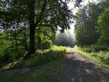 &nbsp; / wenn im Tal der Frühnebel liegt und oben schon die Sonne scheint .....