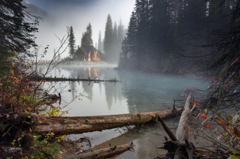 Горизонт завален / Туман над лесным ручьем