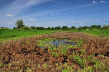 &nbsp; / после жары