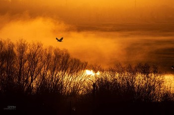 Сентябрь-время туманов на Южном Урале. / Ранним утром после бессонной ночи.