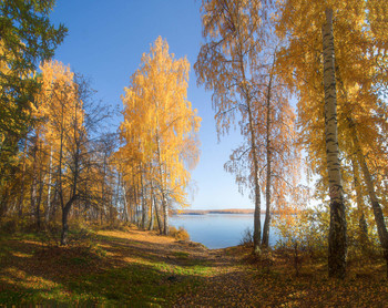 На озере осень / Уральская природа