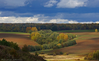Уютная ложбинка / Прекрасная Костромская область.