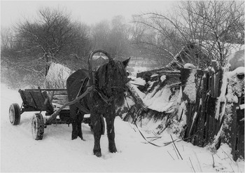 Лошадка и Зима / Лошадка и Зима